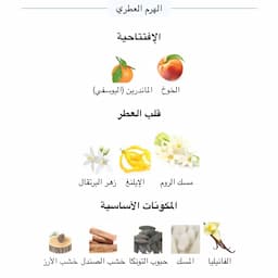 Tulip times توليب تايمز 2